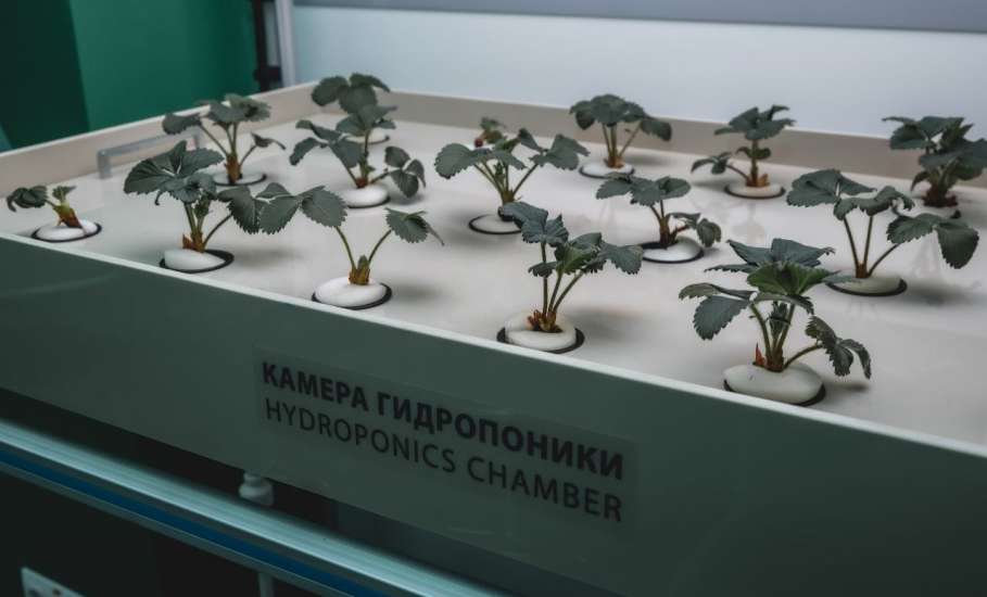 Самых добрых докторов хотят готовить в ЕГУ