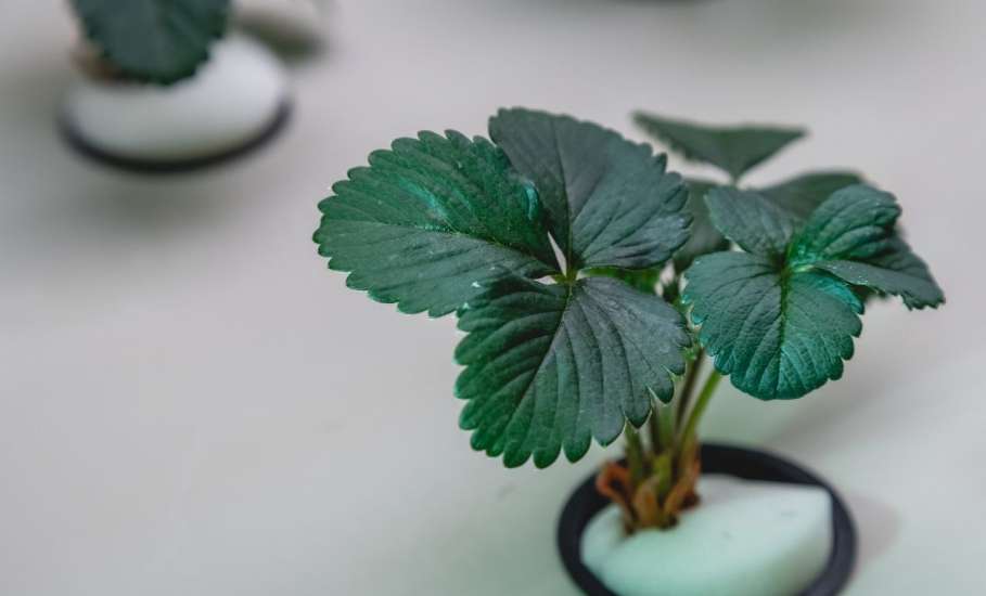 Самых добрых докторов хотят готовить в ЕГУ