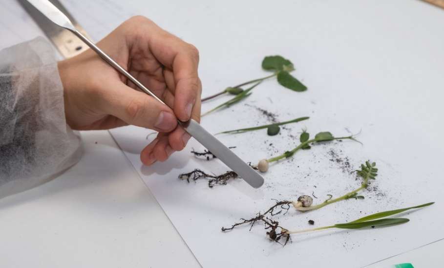 Самых добрых докторов хотят готовить в ЕГУ