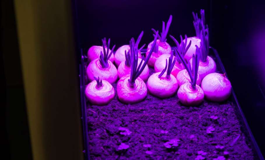 Самых добрых докторов хотят готовить в ЕГУ