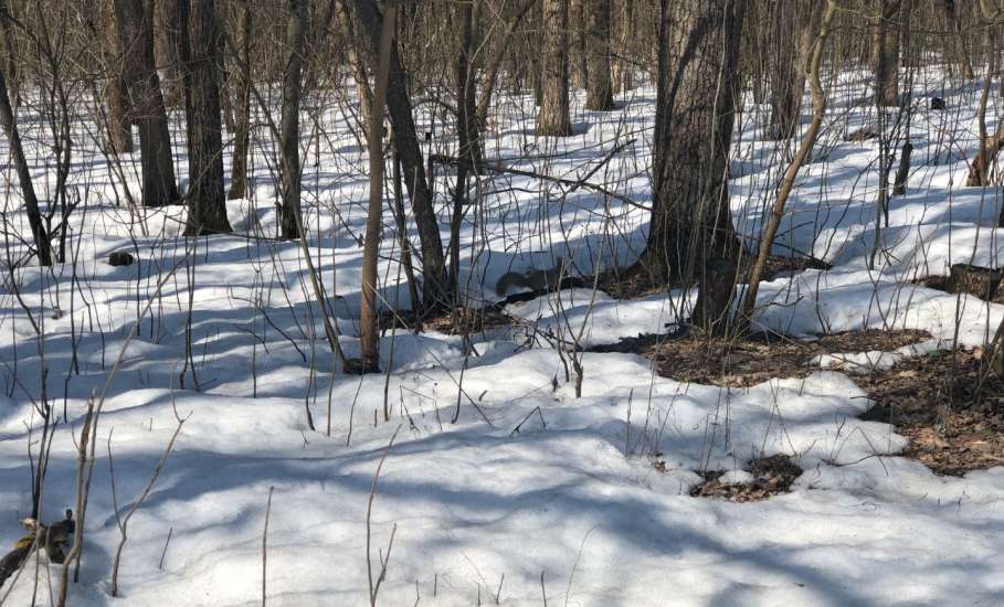 Отбой красного уровня &laquo;Угроза атаки БПЛА&raquo;