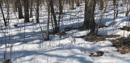 Отбой красного уровня &laquo;Угроза атаки БПЛА&raquo;