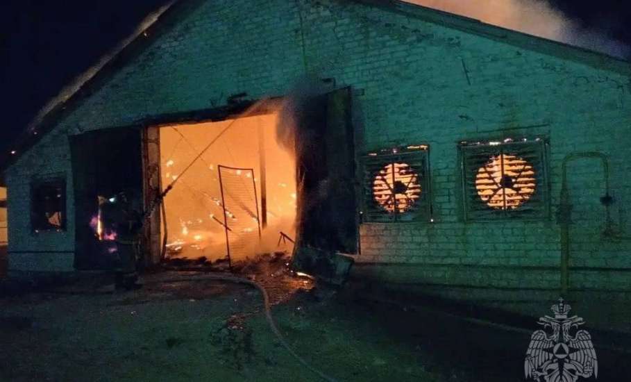 6000 кур сгорели в селе Донском Задонского района!