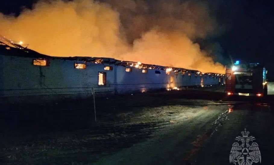 6000 кур сгорели в селе Донском Задонского района!