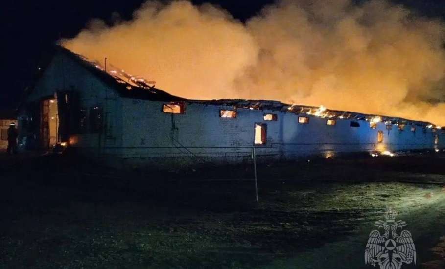 6000 кур сгорели в селе Донском Задонского района!