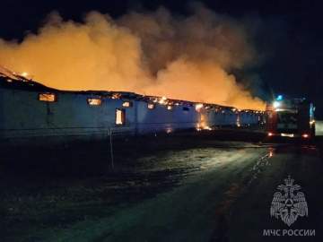 6000 кур сгорели в селе Донском Задонского района!