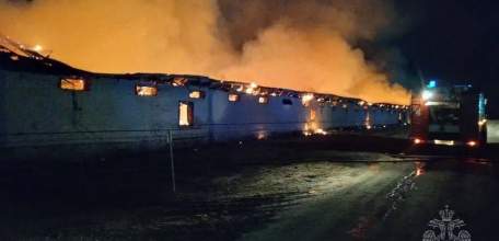 6000 кур сгорели в селе Донском Задонского района!