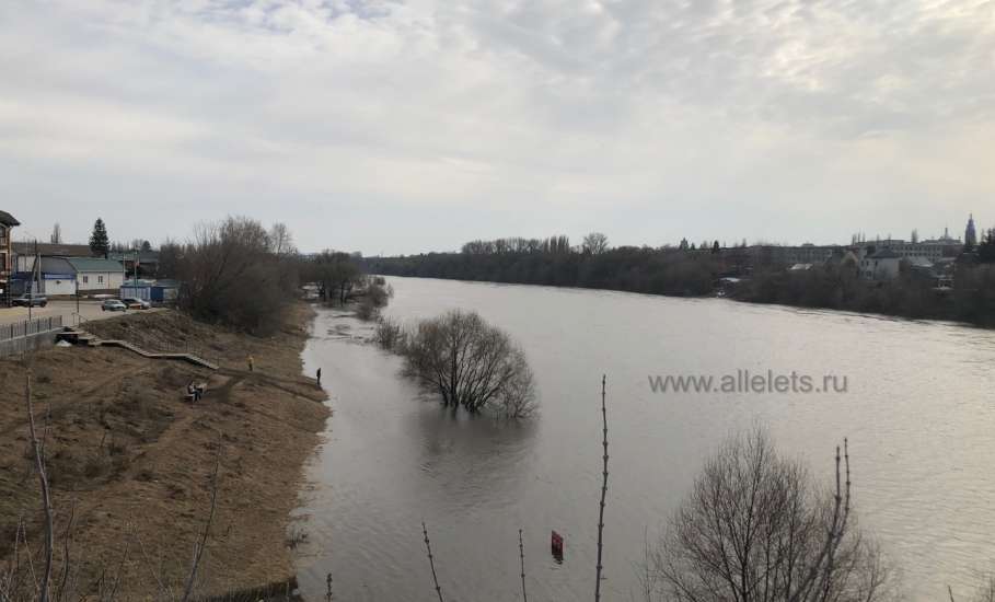 Большая Сосна превратилась в маленькую Волгу