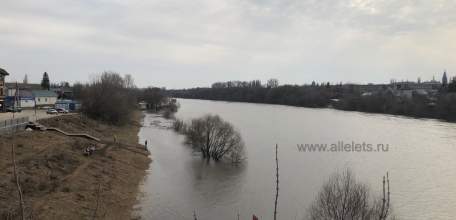 Большая Сосна превратилась в маленькую Волгу