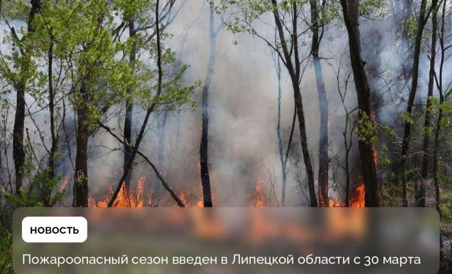 Пожароопасный сезон объявлен в Липецкой области с 30 марта