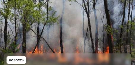 Пожароопасный сезон объявлен в Липецкой области с 30 марта