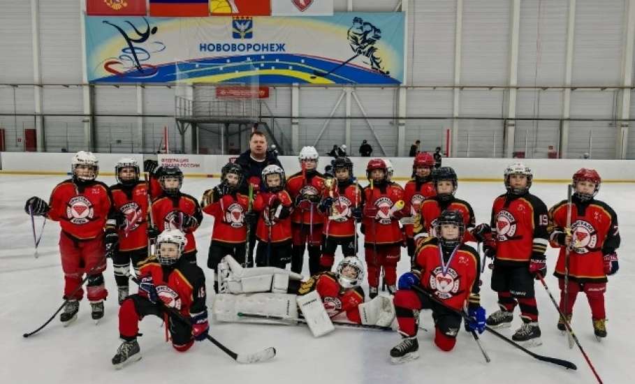 Елецкие хоккеисты &ndash; серебряные призёры товарищеского турнира по хоккею!