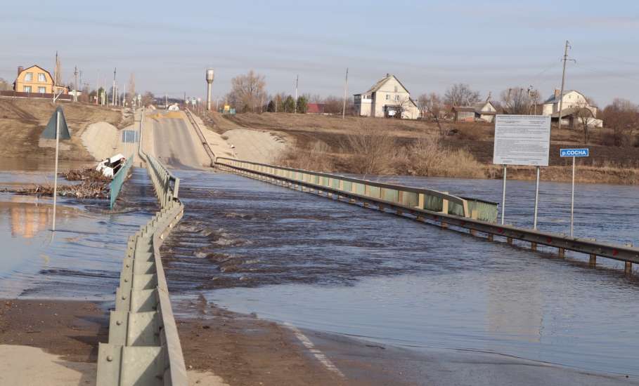 В Елецком районе полностью затопило мост!