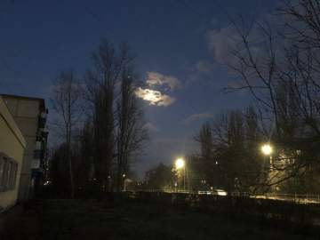 Пьяный уроженец Ельца пытался дать взятку двум сотрудникам ДПС!