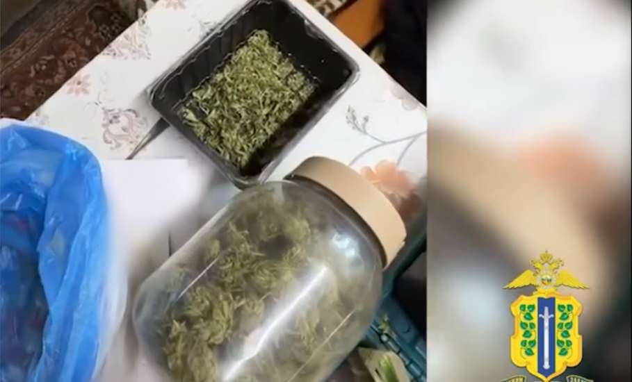 В доме супружеской пары в Измалковском округе силовики обнаружили устройство для обмана граждан и марихуану