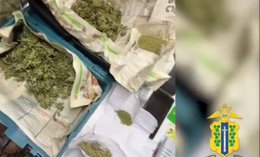 В доме супружеской пары в Измалковском округе силовики обнаружили устройство для обмана граждан и марихуану