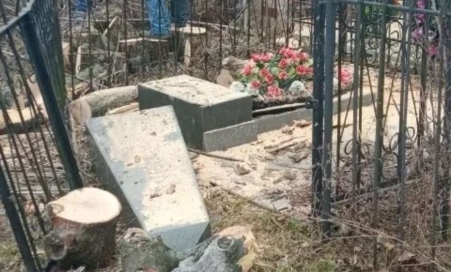 На старом городском кладбище Ельца продолжают уборку деревьев