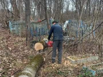 На старом городском кладбище Ельца продолжают уборку деревьев