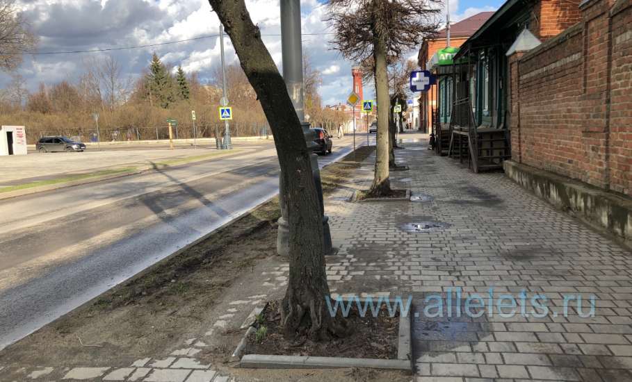 Жители Ельца устали от серости