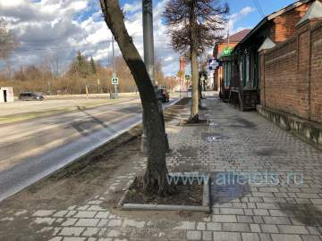 Жители Ельца устали от серости