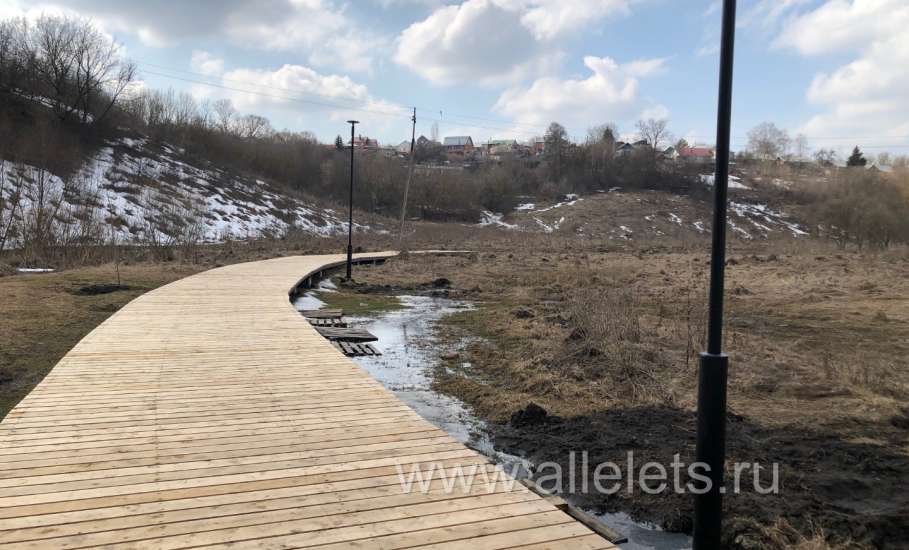 В Ельце нашли человеческую ногу!