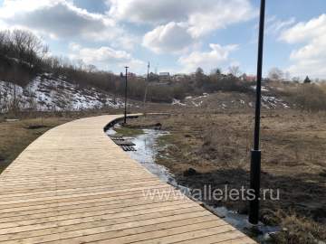 В Ельце нашли человеческую ногу!