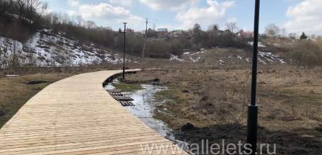 В Ельце нашли человеческую ногу!