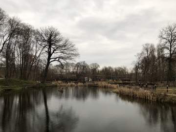 Объявлен желтый уровень "Воздушная опасность" по Липецкой области