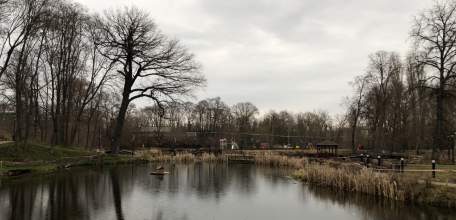 Объявлен желтый уровень "Воздушная опасность" по Липецкой области