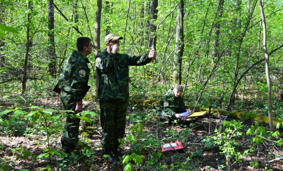 В Липецкой области начался II этап лесоустроительных работ