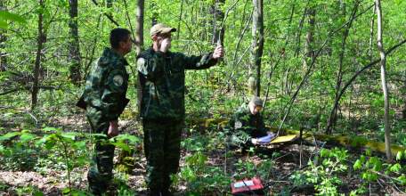 В Липецкой области начался II этап лесоустроительных работ