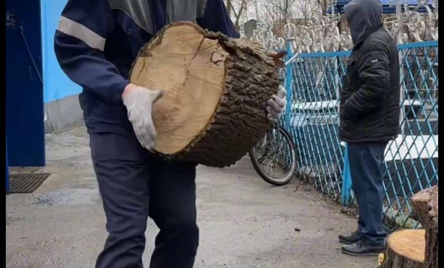 Как и планировали, сегодня провели очередной субботник на старом кладбище