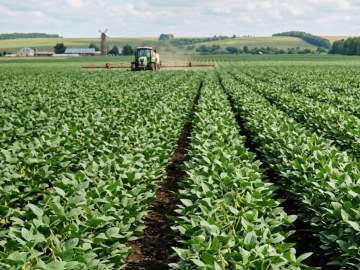 Прокуратура Задонского района потребовала уничтожить семена сои, содержащие ГМО