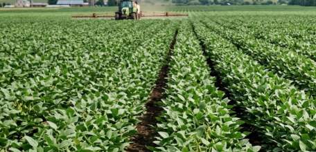 Прокуратура Задонского района потребовала уничтожить семена сои, содержащие ГМО