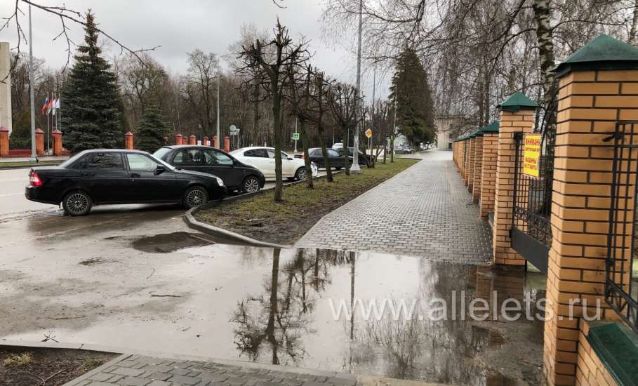 Интересно, а в этом году решат многолетнюю  проблему по улице Коммунаров, рядом с ЕГУ имени И.А. Бунина?