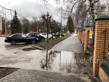 Интересно, а в этом году решат многолетнюю  проблему по улице Коммунаров, рядом с ЕГУ имени И.А. Бунина?