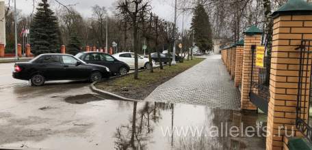 Интересно, а в этом году решат многолетнюю  проблему по улице Коммунаров, рядом с ЕГУ имени И.А. Бунина?