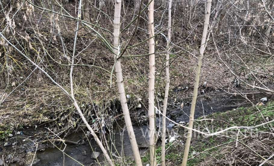 Субботник прошёл в Ельце, а мусор остался!