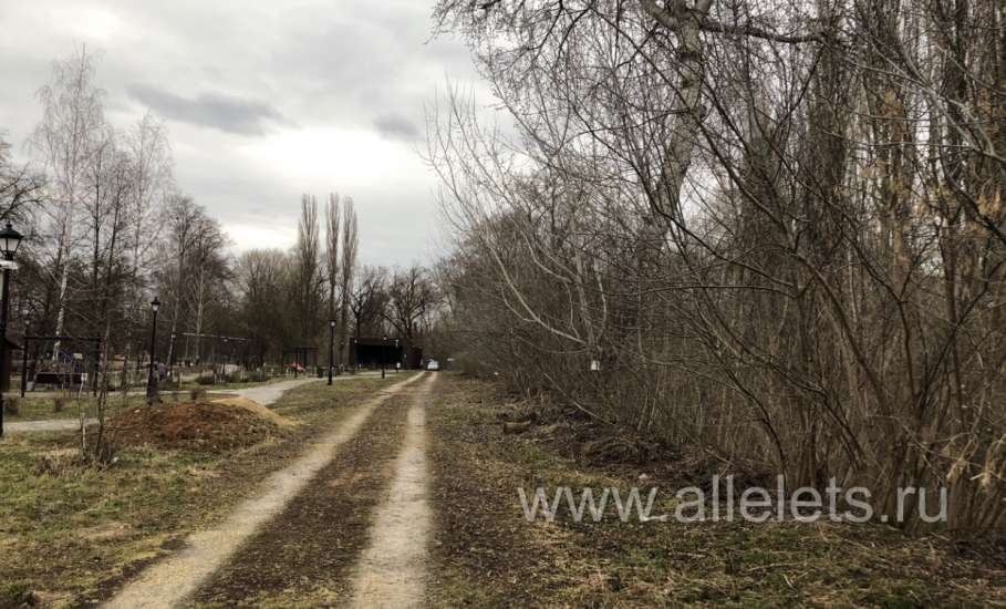 Субботник прошёл в Ельце, а мусор остался!