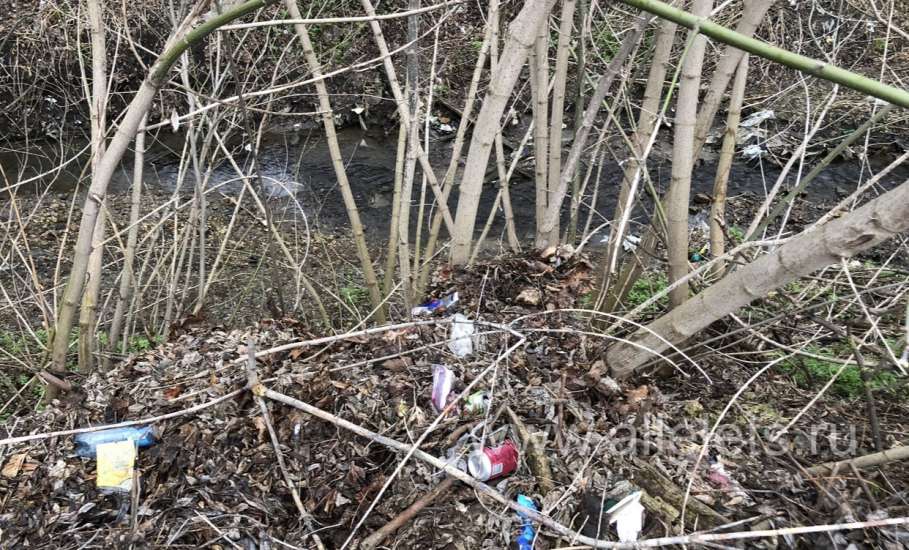 Субботник прошёл в Ельце, а мусор остался!