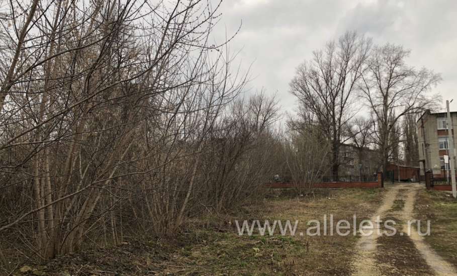 Субботник прошёл в Ельце, а мусор остался!