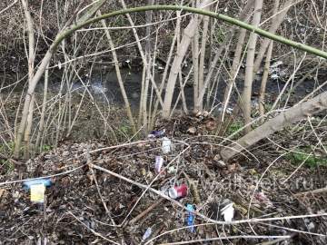 Субботник прошёл в Ельце, а мусор остался!