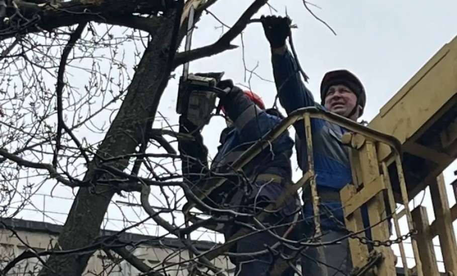 Глава Ельца Вячеслав Жабин: &laquo;Как обещал, дублирую порядок действий в случае причинения ущерба имуществу или личному транспорту при атаке БПЛА&raquo;