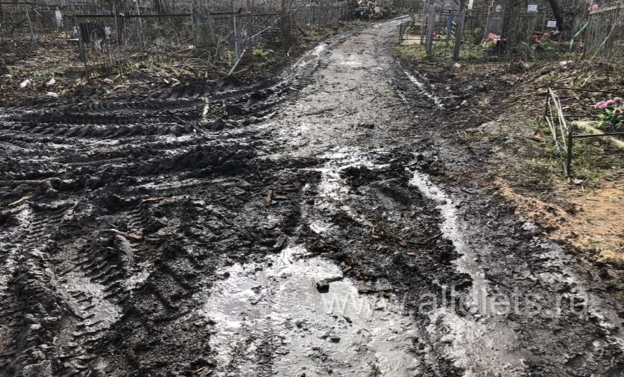 На старом городском кладбище ещё полно работы