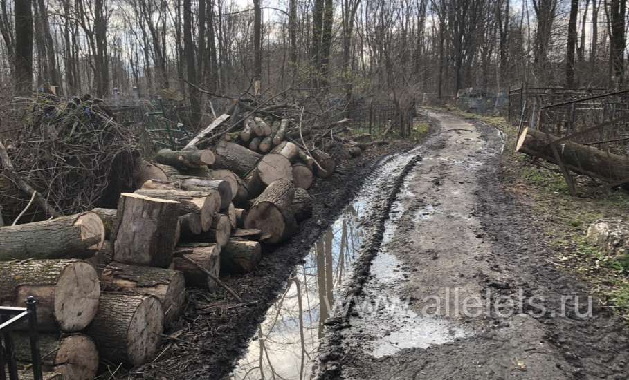 На старом городском кладбище ещё полно работы