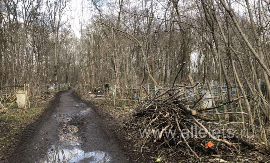На старом городском кладбище ещё полно работы