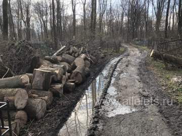 На старом городском кладбище ещё полно работы