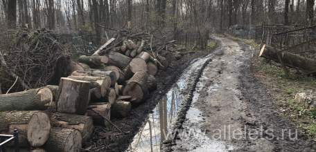 На старом городском кладбище ещё полно работы