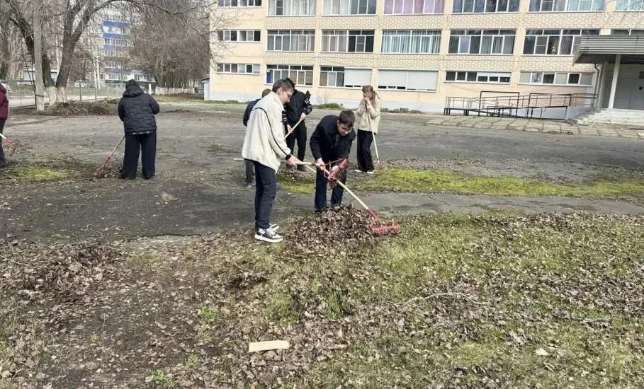 Погода налаживается &mdash; самое время привести в порядок наши территории!