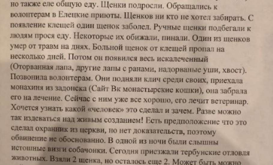 На улице Черокманова в Ельце появился живодёр!